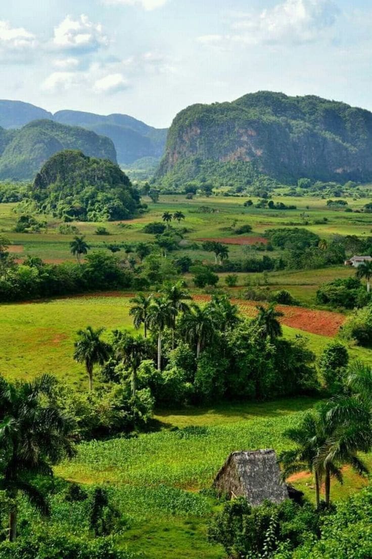 Paisaje de mogotes y campos de Viñales, Cuba